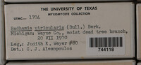 Image Associated With the Occurence